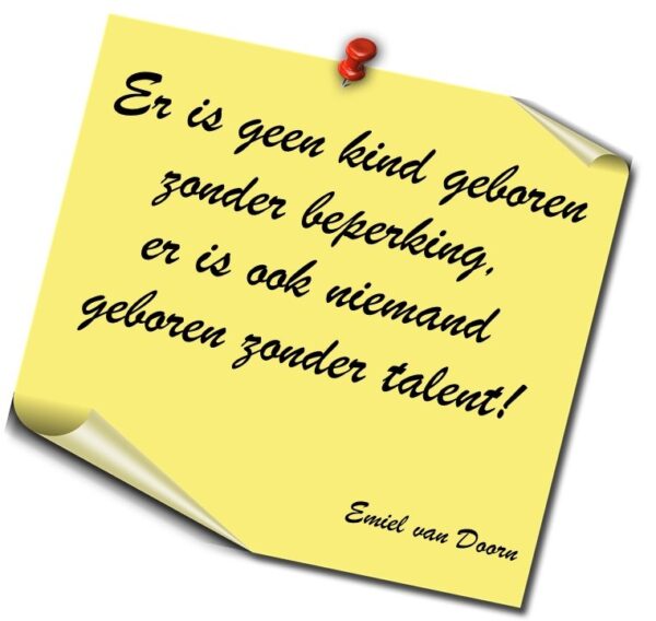 Dynamic assessment - Leerpotentieel onderzoek
